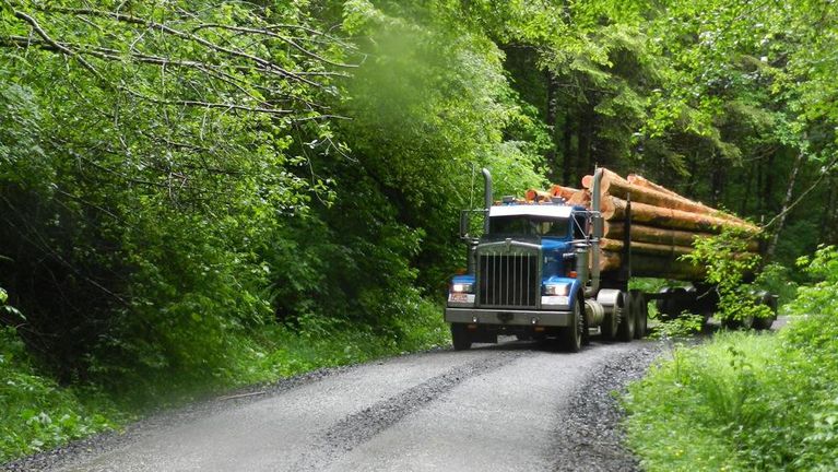 Appeals court reverses verdict that awarded $1 billion to Oregon timber counties