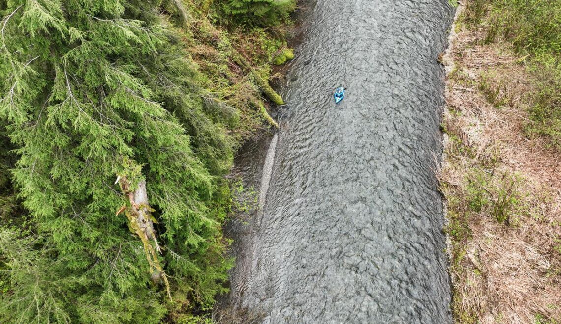 Oregon State Forest Habitat Plan Clears Key Hurdle